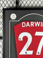 Liverpool - Darwin Nunez - Voetbalshirt, Nieuw