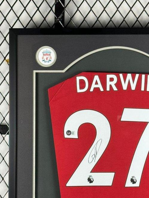 Liverpool - Darwin Nunez - Voetbalshirt, Verzamelen, Overige Verzamelen