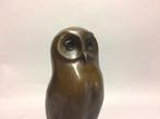 sculptuur, The young owl - 28 cm - Brons, Antiek en Kunst