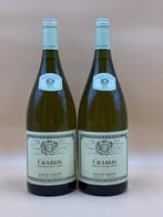 2023 Louis Jadot - Chablis - Chablis - 2 Magnums (1.5L), Verzamelen, Nieuw