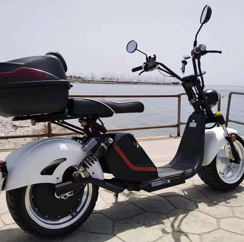 X10 E-chopper, Diversen, Brommobielen en Scootmobielen, Ophalen of Verzenden
