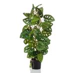Emerald Kunstplant in pot Monkey monstera 75 cm, Tuin en Terras, Nieuw, Verzenden