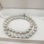 Zonder Minimumprijs - Halsketting Zilver - Akoya parel 8,5, Sieraden, Tassen en Uiterlijk, Kettingen, Nieuw