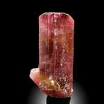 XL Candy Rubellite Tourmalijn | Diep robijnrood | Krachtige