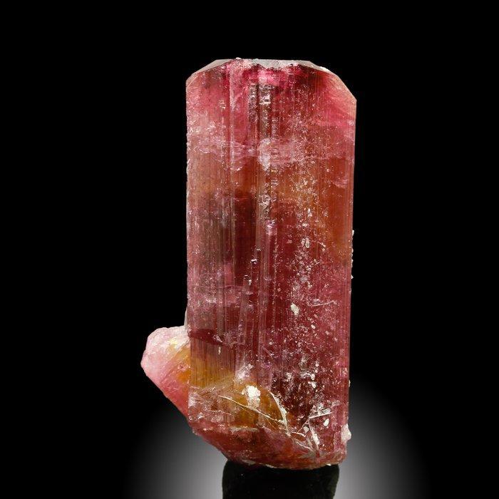 XL Candy Rubellite Tourmalijn | Diep robijnrood | Krachtige, Verzamelen, Mineralen en Fossielen