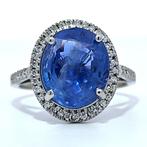 Ring Platina - 6.49ct. tw. Saffier - Diamant - Oorsprong -, Nieuw