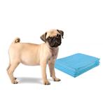 Training Pad Honden Puppy Pad Puppy Hygiëne Pads Wegwerp Pad