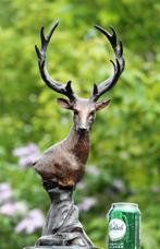 Beeld, stateu reebok - 52 cm - bronze marble, Antiek en Kunst