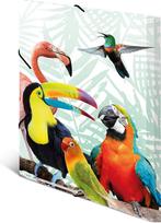 Verzamelmap tropische vogels - Verzamelmap met tropische, Verzenden, Nieuw