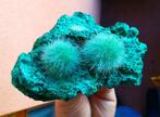 Naalddraaiend groen magnesium Kristallen op matrix - Hoogte:, Verzamelen, Mineralen en Fossielen