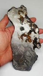 Seymchan XXL-meteoriet Steenijzer meteoriet - 442 g, Verzamelen, Mineralen en Fossielen
