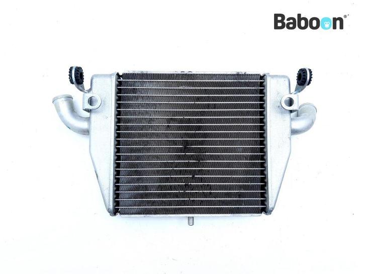 Radiateur MV Agusta F4 750 S 1999-2003 Lower, Motoren, Onderdelen | Overige, Gebruikt, Verzenden