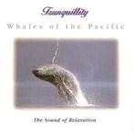 cd - Levantis - Whales Of The Pacific, Verzenden, Zo goed als nieuw