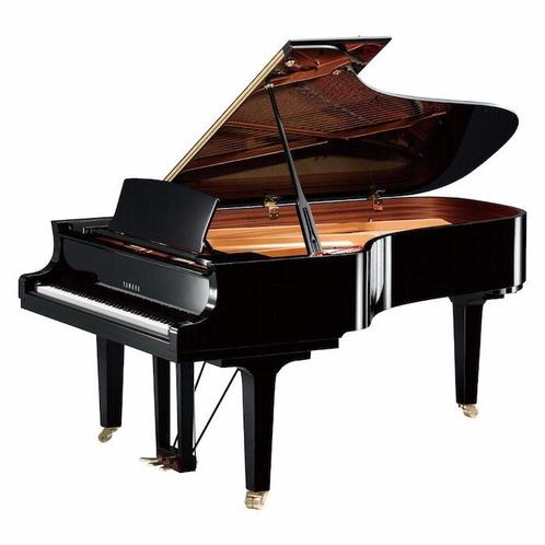 Concert Vleugels, Muziek en Instrumenten, Piano's