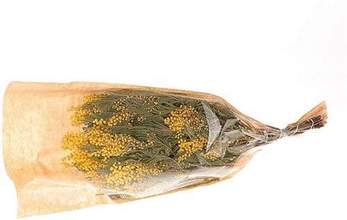 Mimosa 75 cm droogbloemen tak, Huis en Inrichting, Woonaccessoires | Kunstplanten en Kunstbloemen, Nieuw, Ophalen of Verzenden