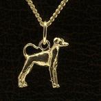 Gouden Dwergpincher oren ongecoupeerd met staart ketting ..., Verzenden, Nieuw
