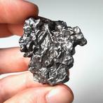 Campo del Cielo, ijzermeteoriet - 63.8 g