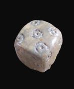 Oud-Romeins Been Dice - 9 mm (Zonder minimumprijs), Antiek en Kunst