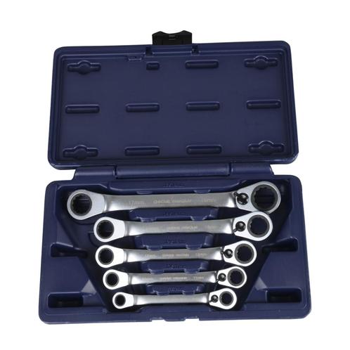 Ratel Ringsleutelset Proworks 5 Delig - 10 Maten, Motoren, Accessoires | Overige, Nieuw, Verzenden