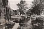 SCHIEDAM - Stadhouderslaan, Verzenden, Gelopen