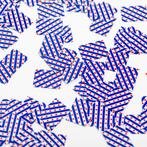 Friesland Tafelconfetti Papier 150st, Verzenden, Nieuw