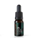 Dutch Hemp CBG olie full spectrum 5% 10 ml 500 mg CBG, Verzenden, Nieuw