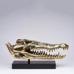 sculptuur, Saltwater Crocodile Skull fashioned in bronze, on, Antiek en Kunst