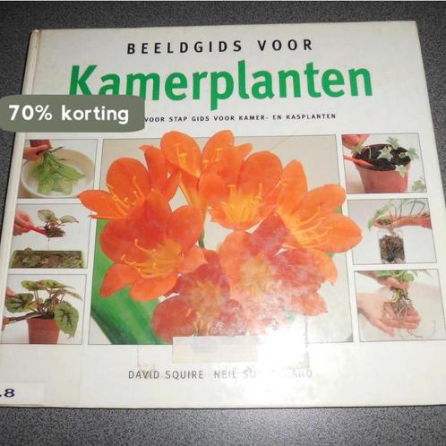 BEELDGIDS VOOR KAMERPLANTEN 9789036608084 Squire, Boeken, Hobby en Vrije tijd, Gelezen, Verzenden