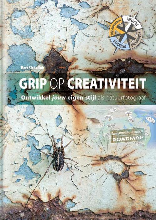 Grip op creativiteit 9789079588244 Bart Siebelink, Boeken, Hobby en Vrije tijd, Zo goed als nieuw, Verzenden