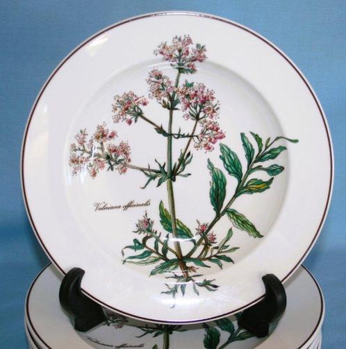 Villeroy & Boch - Set soepkommen (6) - Botanica - Vitro, Antiek en Kunst, Antiek | Meubels | Tafels