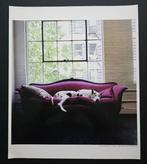 Jim Cooper - New-York