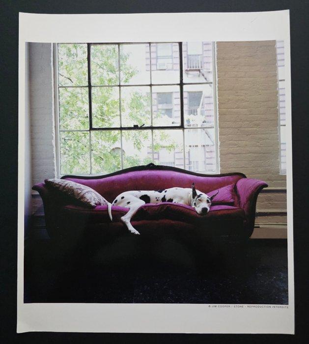 Jim Cooper - New-York, Antiek en Kunst, Kunst | Designobjecten