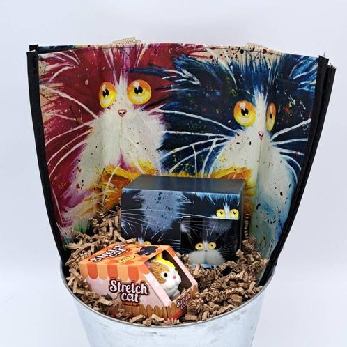 Miss Bucket -  Kat Kim Haskins, Hobby en Vrije tijd, Feestartikelen, Nieuw, Verzenden