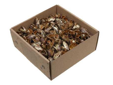Bakuli gold wash 400 gr – perfect voor groendecoraties en, Huis en Inrichting, Woonaccessoires | Kunstplanten en Kunstbloemen
