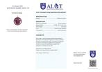 ALGT Gecertificeerd - Huge Natuurlijke Robijn Hanger -