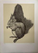 Franse school (XIX) - Lécureuil