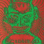lp nieuw - Evil Acidhead - In The Name Of All That Is Unholy, Verzenden, Zo goed als nieuw