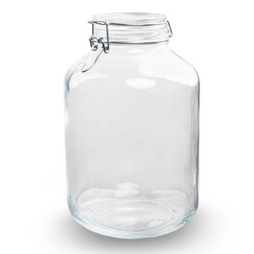 Weckpot Terrarium Jar -  28 cm beschikbaar voor biedingen