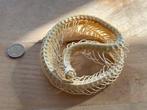 Slang Volledig skelet met schedel - Bungarus candidus - 4 cm, Nieuw