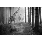 Frank Machalowski - tierwald#149