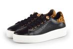 Cellini Sneakers in maat 38 Zwart | 10% extra korting, Kleding | Dames, Schoenen, Verzenden, Zwart, Cellini, Sneakers of Gympen