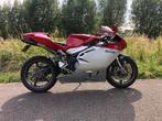 MV Agusta - F4 - 750 cc - 2001, Motoren