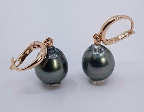 Oorbellen - 14 karaat Roségoud - 10x11mm Tahitiaanse Parel, Sieraden, Tassen en Uiterlijk, Oorbellen