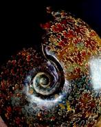 XXL - Ammonite iridescent premium - Gefossiliseerd dier -