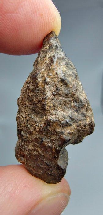 Dit is een van slechts 12 meteorieten die zijn goedgekeurd, Verzamelen, Mineralen en Fossielen