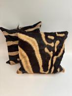 Zebra Balg - Equus quagga - 40 cm - 40 cm - 1 cm -