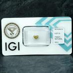 1 pcs Diamant (Natuurlijk gekleurd) - 0.57 ct - Hart - Fancy, Nieuw