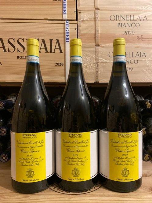 2022 Santa Barbara, Verdicchio dei Castelli di Jesi Classico, Verzamelen, Wijnen