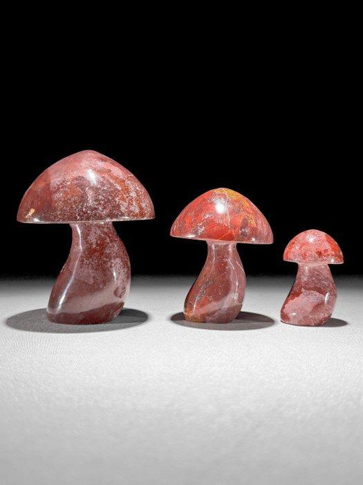 Geen minimumprijs - Prachtige set van rode Maligano Jasper., Antiek en Kunst, Kunst | Designobjecten