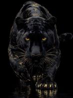 yamila - Black Panther: Totem of Identity – A Kintsugi, Nieuw